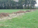 De hele singel weg